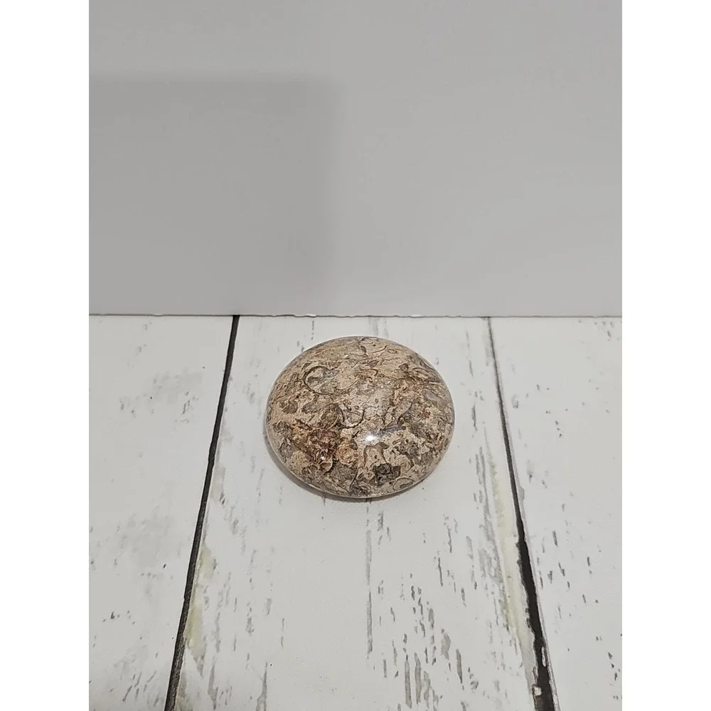 POLISHED SHELL FOSSIL PAPERWEIGHT. 3